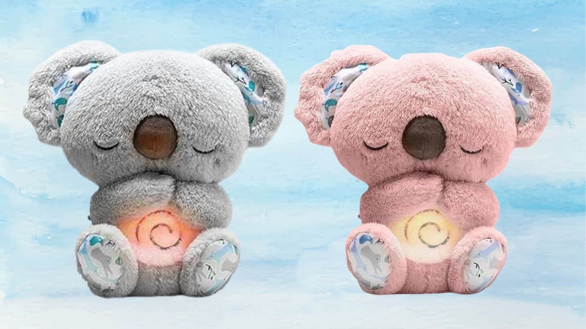 Peluche anti Ansiedad de Koala